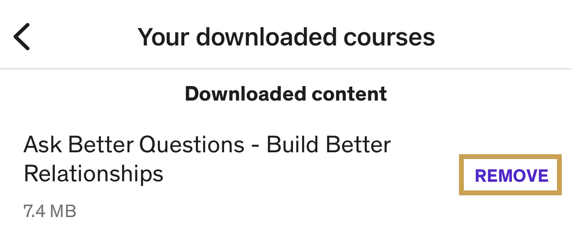 remove_downloads_ios_ub.jpeg
