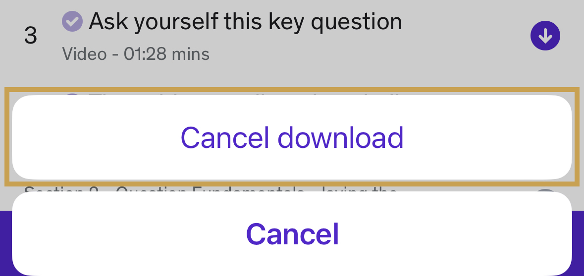 cancel_download_ios_ub.jpeg