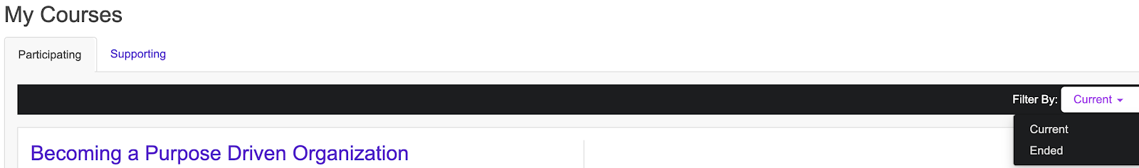 my courses filters