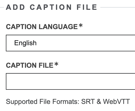 add video caption