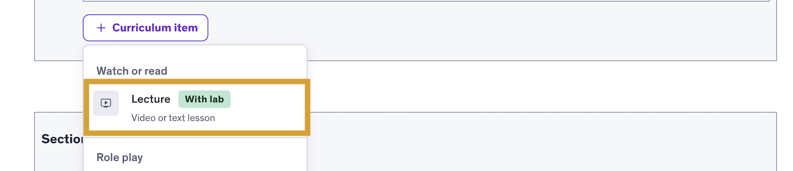 lecture curriculum item.png