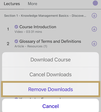 remove_all_downloaded_lectures_ios_app.png